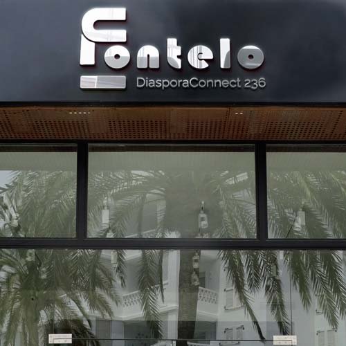 À Propos de DiasporaConnect et Fontelo Group
